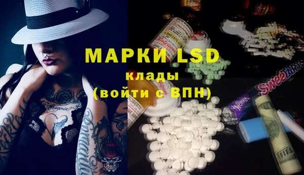 эйфоретик Карпинск