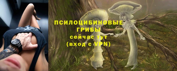 эйфоретик Карпинск